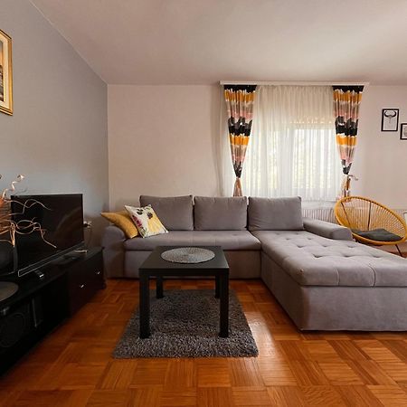 Apartment Gabriela Раковица Екстериор снимка