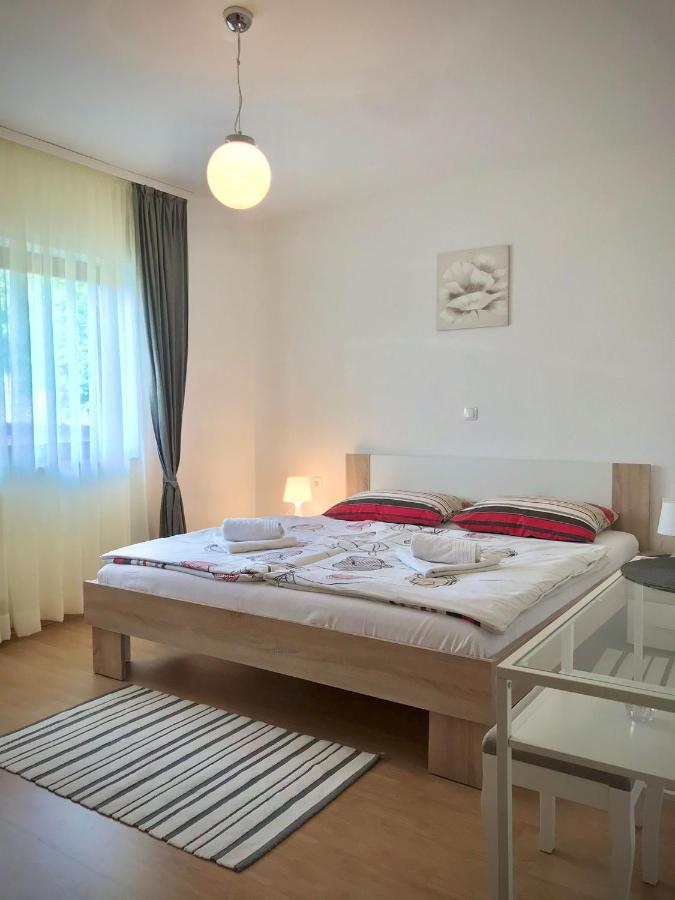 Apartment Gabriela Раковица Екстериор снимка