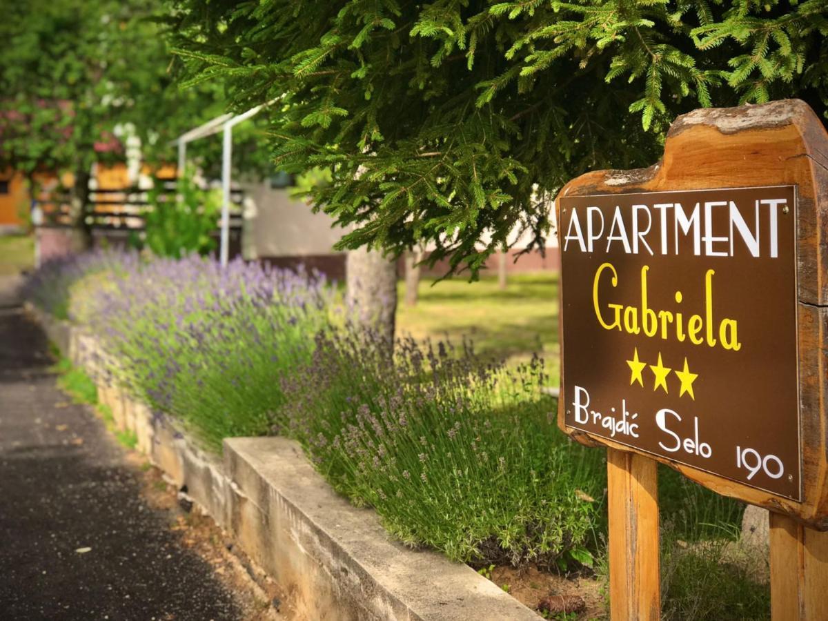 Apartment Gabriela Раковица Екстериор снимка